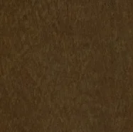Canela