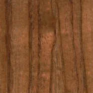Cinamomo